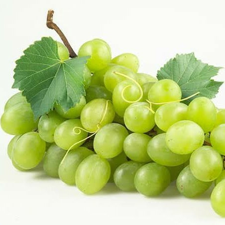 Anggur Hijau