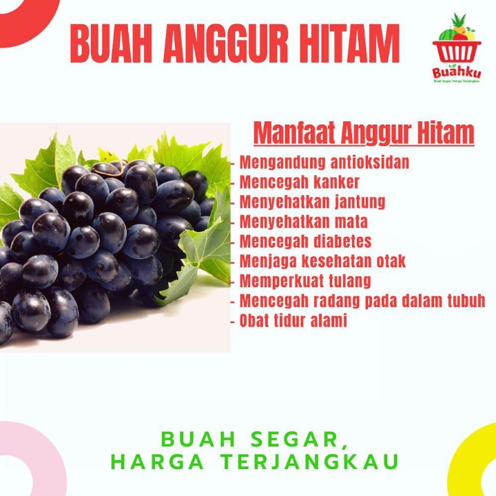 Anggur Hitam