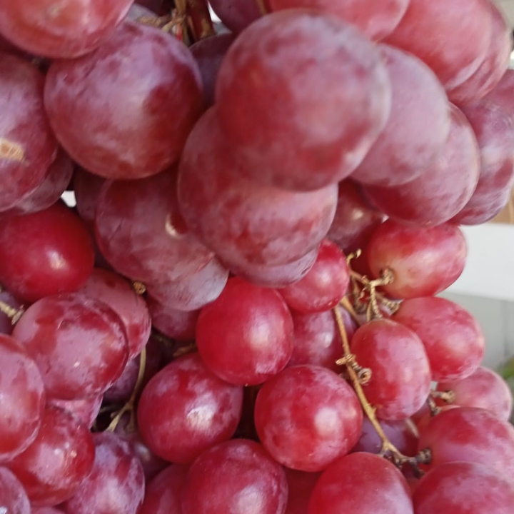 Anggur Merah