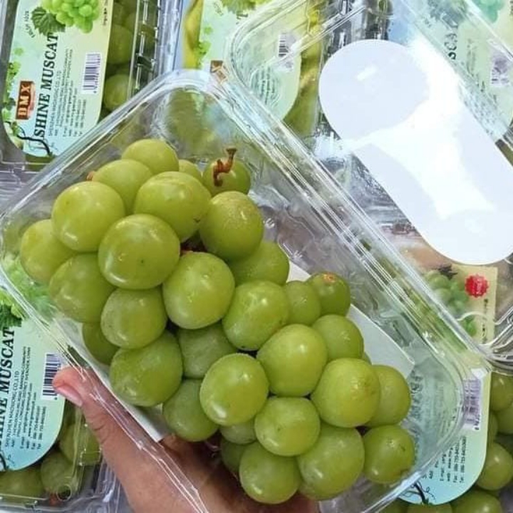 Anggur Shine Muscat 2