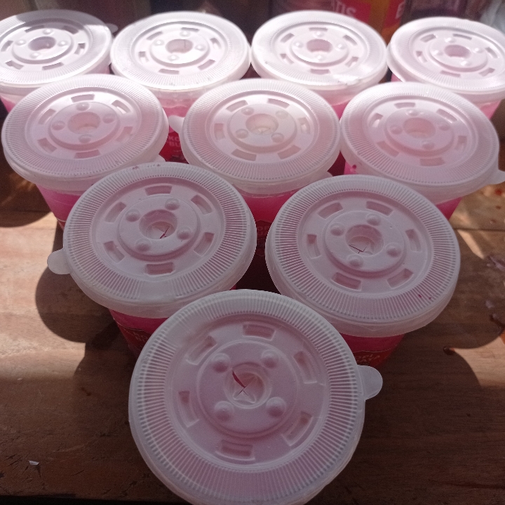 Anggur Yakult 3