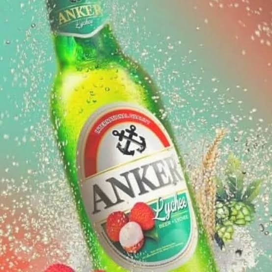Anker Leci