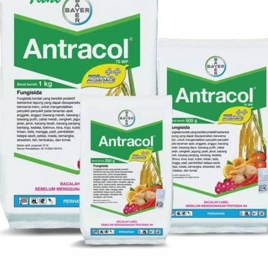 Antracol 250 Gr