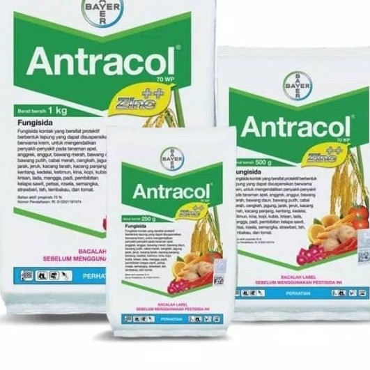 Antracol 500 Gr