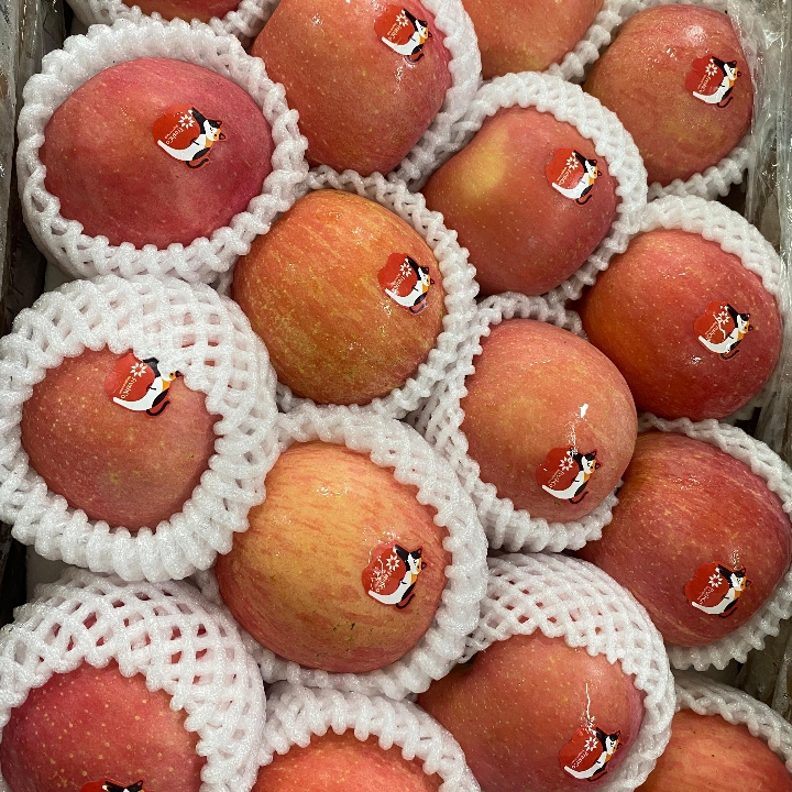 Apel Fuji Perkilo