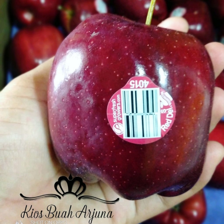 Apel Merah  2