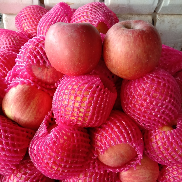 Aple Puji