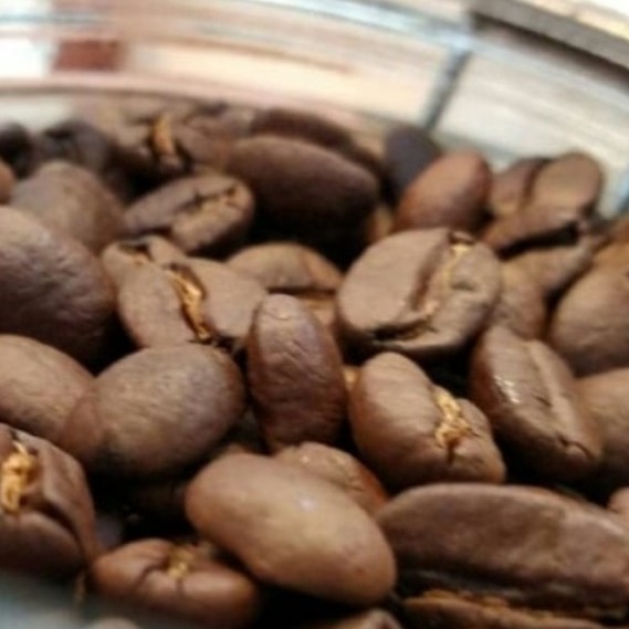 Arabika Bali Kintamani Medium