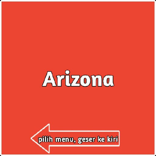 Arizona Fried Chicken