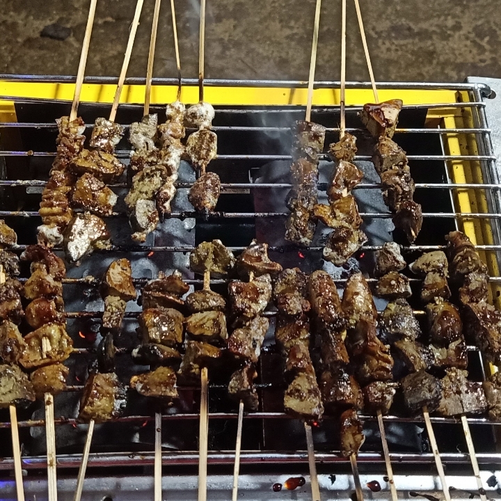 Ati Ampela Dan Usus 