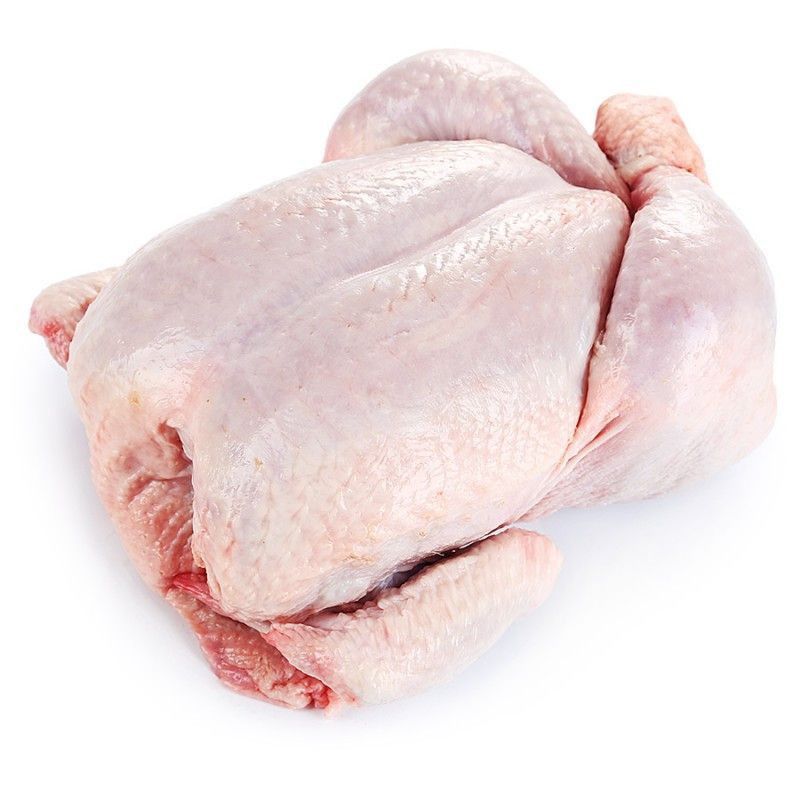Ayam