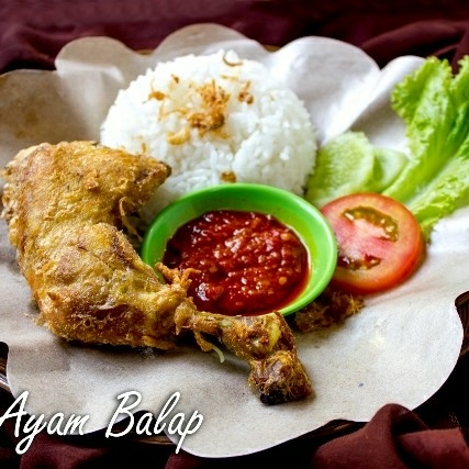 Ayam Balap 