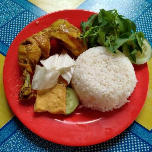 Ayam Biasa