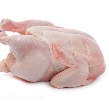Ayam Boiler