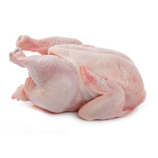 Ayam Broiler