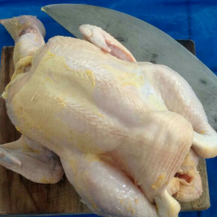 Ayam Broiler Besar Segar