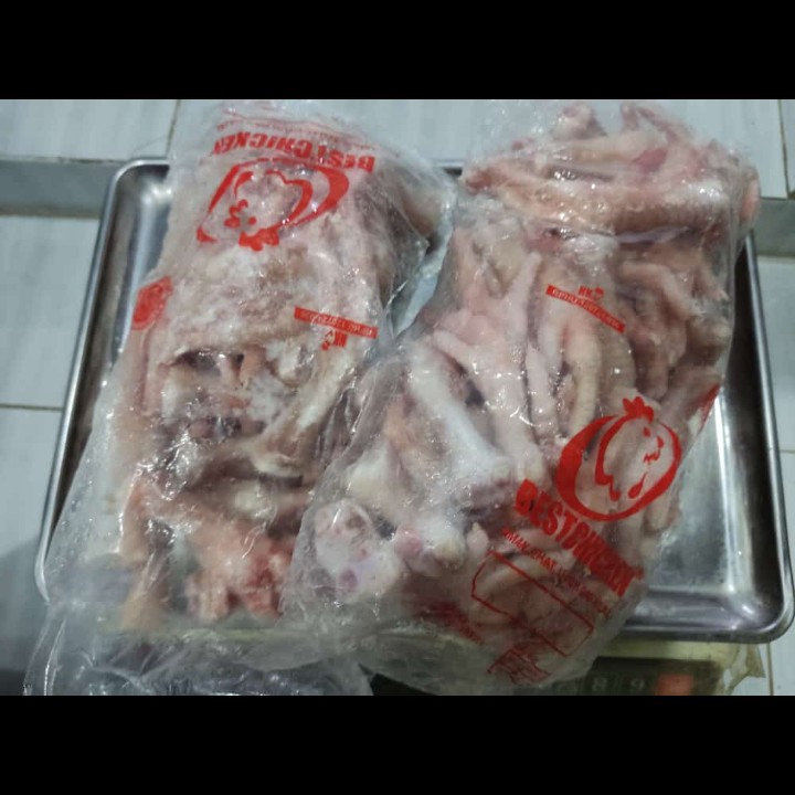 Ayam Layer Putih 4