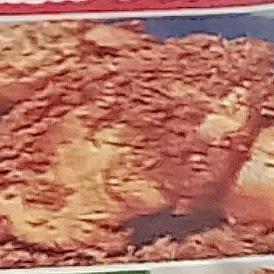 Ayam Goreng