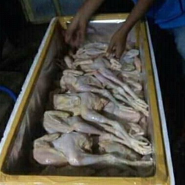 Ayam Kampung