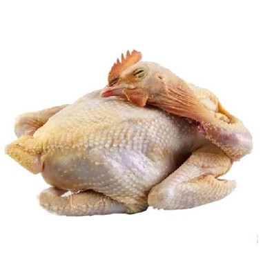 Ayam Kampung 1 ekor utuh