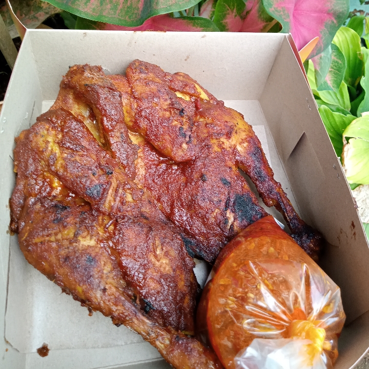 Ayam Kampung Menor