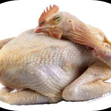 Ayam Kampung Utuh