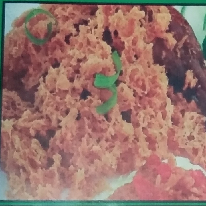 Ayam Kremes