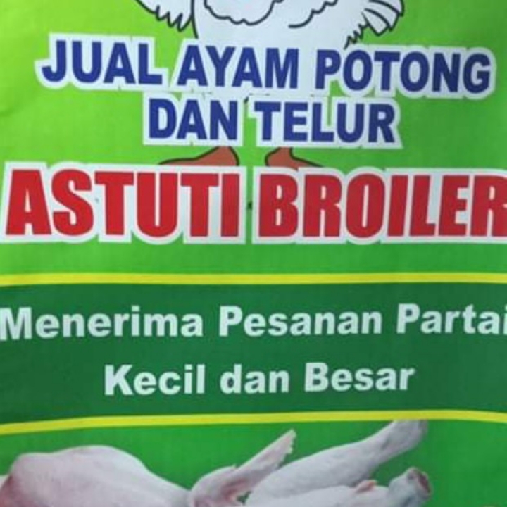 Ayam Layer Putih 2
