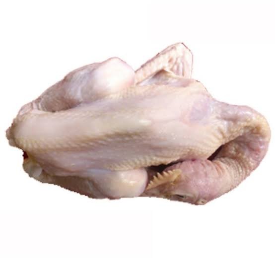 Ayam Pejantan 1 Ekor