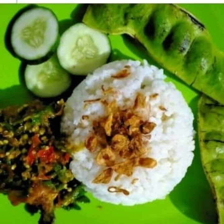 Ayam Penyot