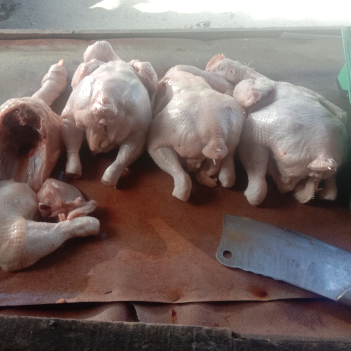 Ayam Potong 