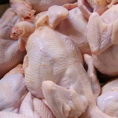 Ayam Potong -PK-