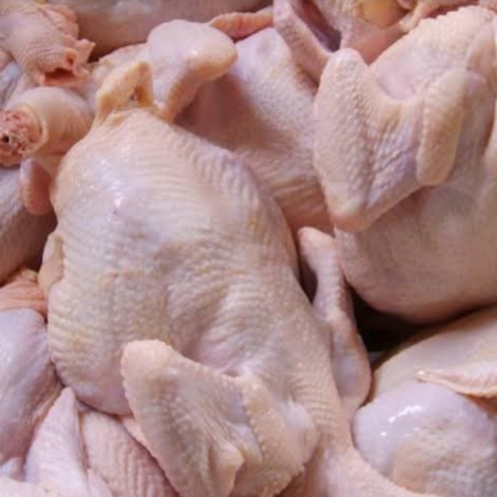 Ayam Potong