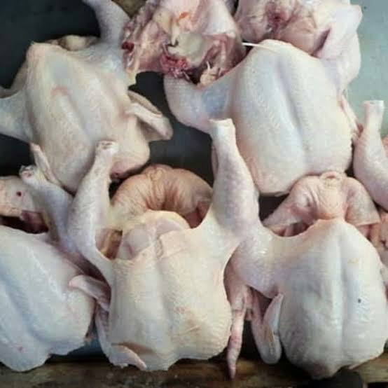 Ayam Potong