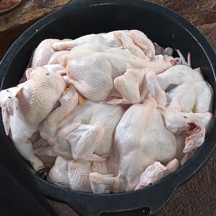 Ayam Potong