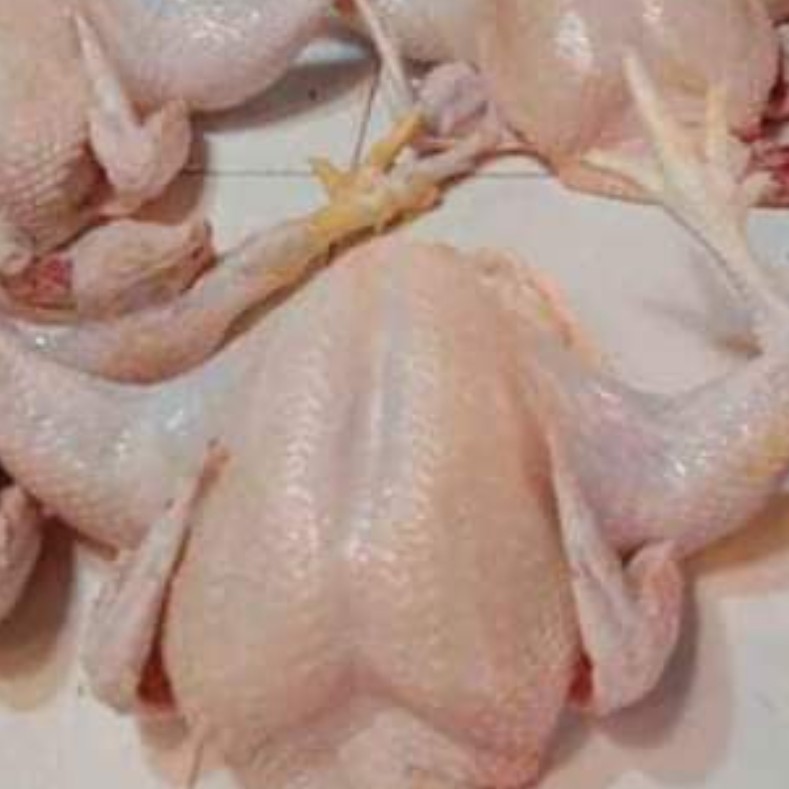 Ayam Potong
