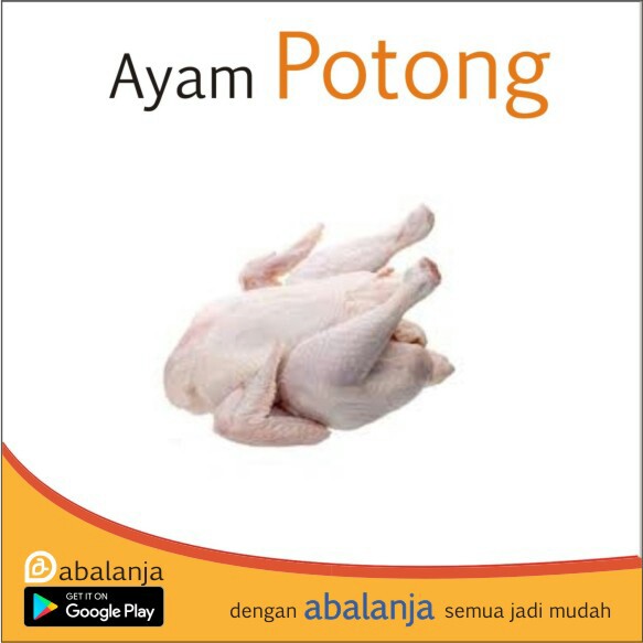 Ayam Potong 1 Ekor