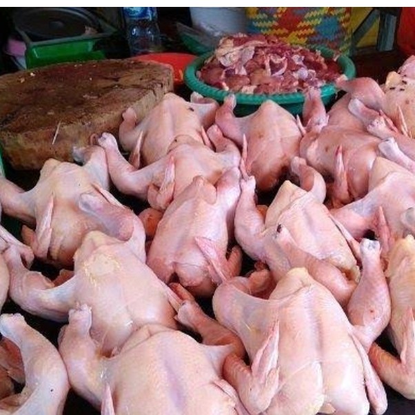 Ayam Potong