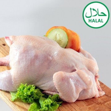 Ayam Potong Utuh