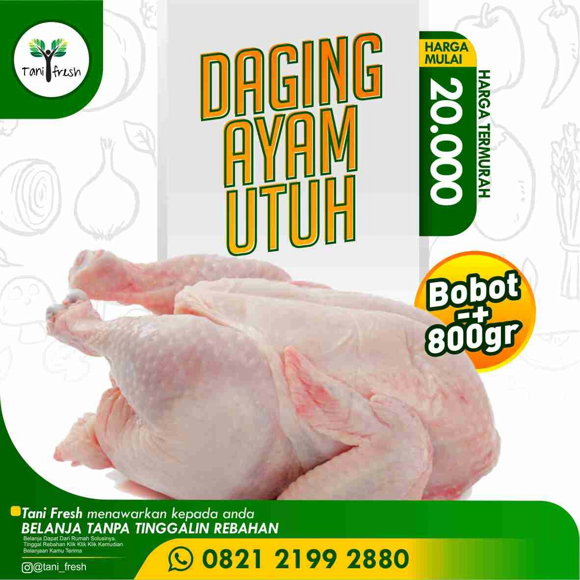 Ayam Potong Utuh 800 Gr
