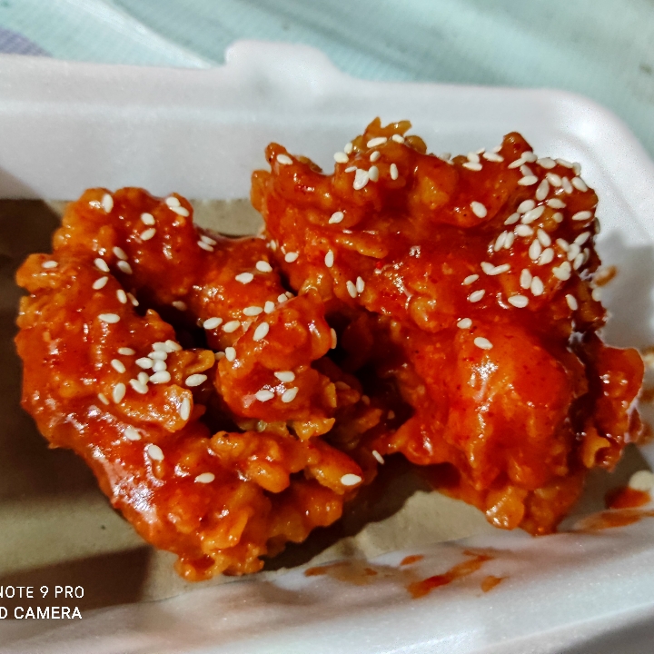 Ayam Richeese
