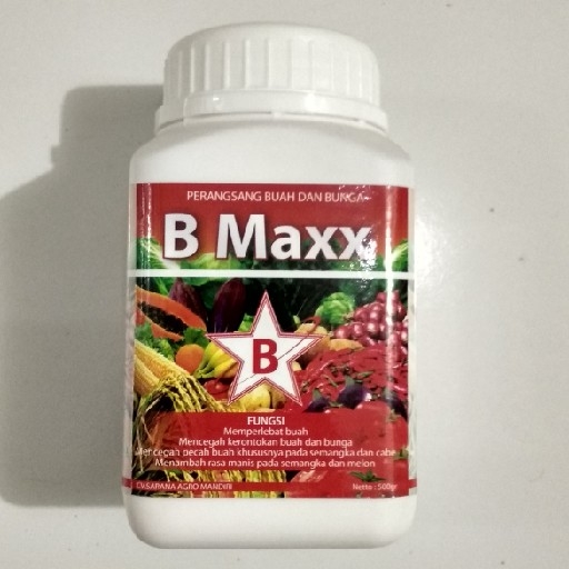 B-Maxx