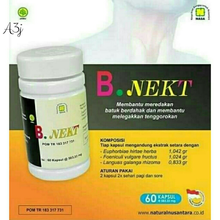 B NEKT