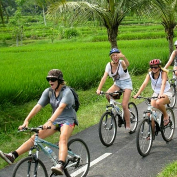 BALI DOWN HILL CYCLING