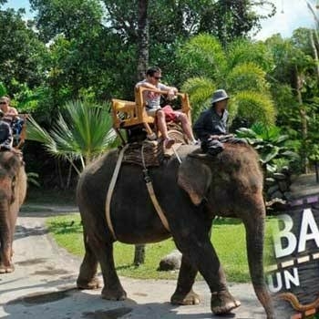 BALI ELEPHANT SAFARI PARK