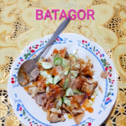 BATAGOR