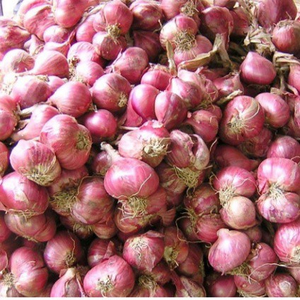 BAWANG MERAH SUMBAR