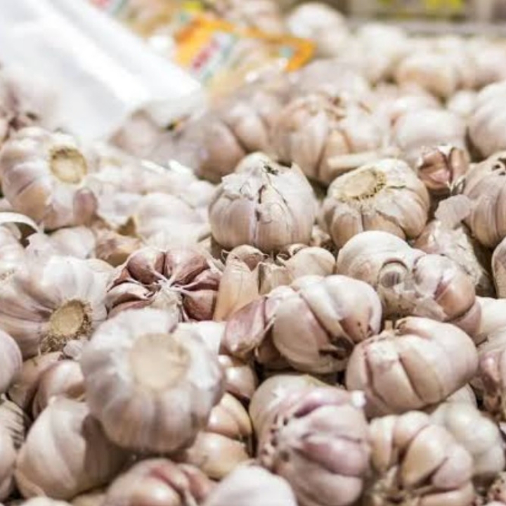 BAWANG PUTIH 