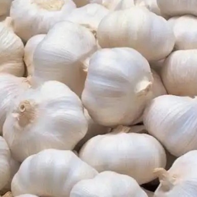 BAWANG PUTIH