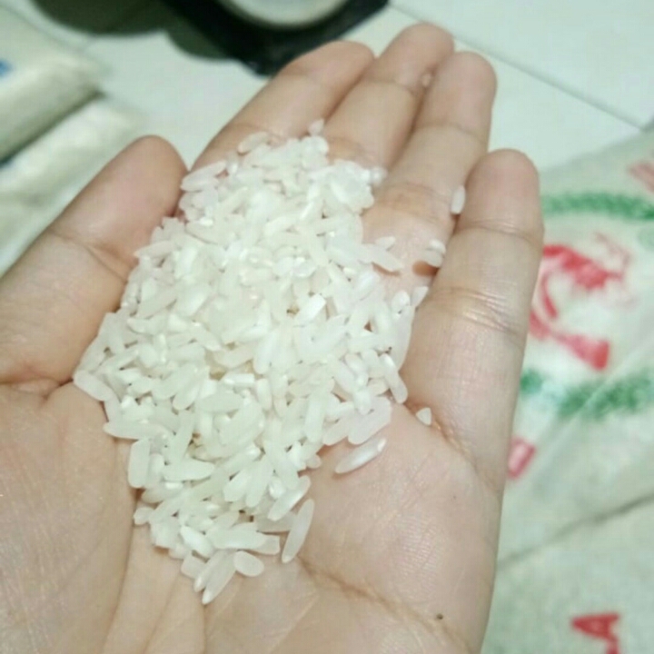 BERAS CAP RAJALELE 2